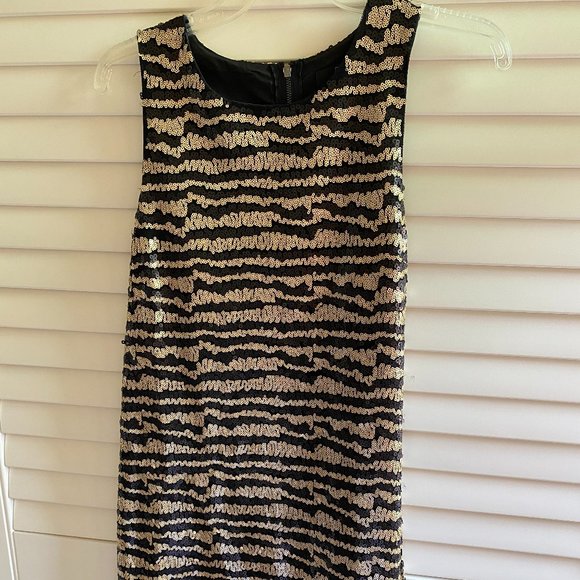 Striped Sequin Dress - Picture 4 of 7